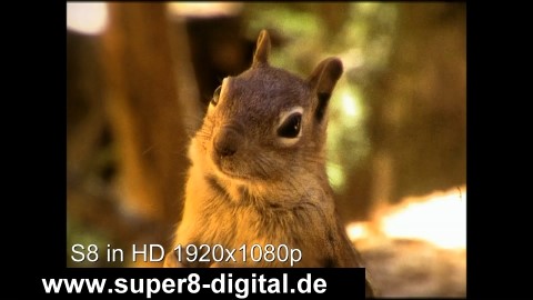 Bildqualität verbessern, digitalisieren Super8 N8 16mm Filme, Videoqualität upscaling für VHS Video8 mini-DV Videokassetten auf mp4 HD